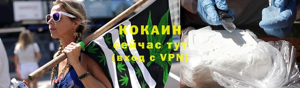 меф Пересвет