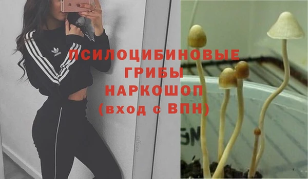 ешки Пестово