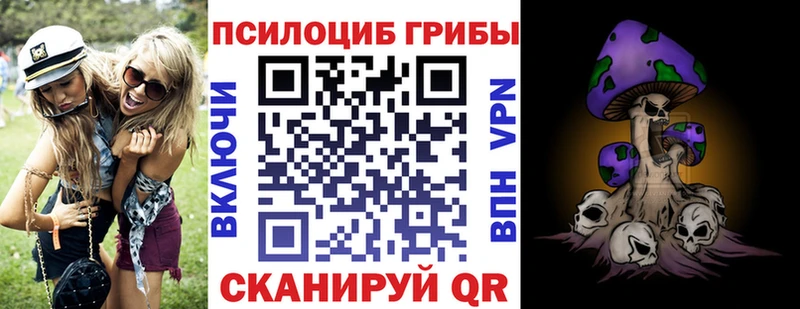 как найти закладки  Ряжск  Псилоцибиновые грибы Cubensis 