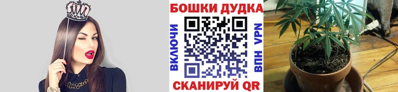 где найти   Ряжск  Шишки марихуана индика 